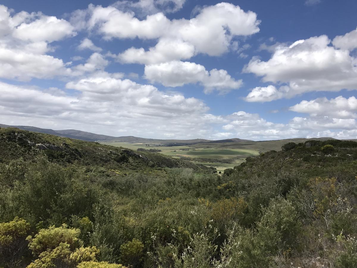 Goedvertrou Guest Farm Papiesvlei Luaran gambar